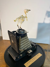 Charger l'image dans la galerie, « Le petit oiseau est sorti!!