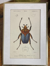 Charger l'image dans la galerie, Tirages encadrés vendus à l’unité