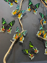 Charger l'image dans la galerie, Cadre envolées de papillons