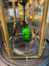 Charger l'image dans la galerie, Prisme hexagonal aux d’insectes