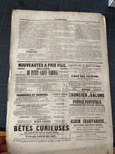 Charger l'image dans la galerie, Cadre duo de chauve souris