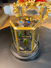 Charger l'image dans la galerie, Prisme hexagonal aux d’insectes