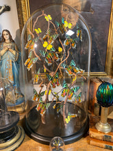 Charger l'image dans la galerie, Envolée de papillons Urania sous globe en verre (ENVOI IMPOSSIBLE)