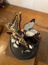 Charger l'image dans la galerie, Cloche envolée de papillons noir et blanc