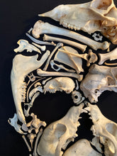 Charger l'image dans la galerie, Cadre vanité « MEMENTO MORI »