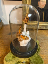 Charger l'image dans la galerie, « Fuck » aux insectes