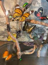 Charger l'image dans la galerie, Envolée d’insectes sous globe napoléonien (ENVOI À ORGANISER AVANT ACHAT)