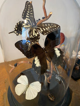 Charger l'image dans la galerie, Cloche envolée de papillons noir et blanc