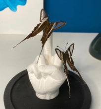 Charger l'image dans la galerie, « Fuck » aux insectes