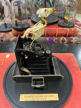 Charger l'image dans la galerie, « Le petit oiseau est sorti!!
