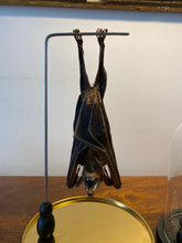 Charger l'image dans la galerie, Véritable chauve-souris sous globe en verre grand modèle