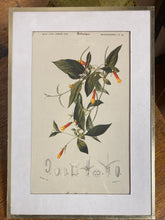 Charger l'image dans la galerie, Tirages encadrés vendus à l’unité