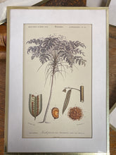 Charger l'image dans la galerie, Tirages encadrés vendus à l’unité