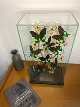 Charger l'image dans la galerie, Envolée de papillons sous vitrine