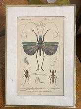 Charger l'image dans la galerie, Tirages encadrés vendus à l’unité