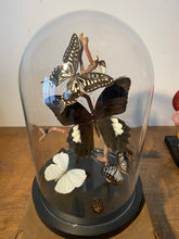 Charger l'image dans la galerie, Cloche envolée de papillons noir et blanc