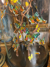 Charger l'image dans la galerie, Envolée de papillons Urania sous globe en verre (ENVOI IMPOSSIBLE)