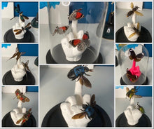 Charger l'image dans la galerie, « Fuck » aux insectes