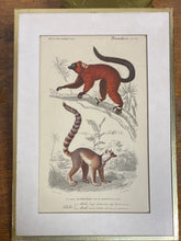 Charger l'image dans la galerie, Tirages encadrés vendus à l’unité