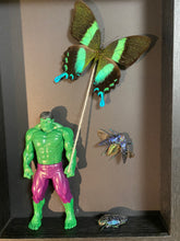 Charger l'image dans la galerie, Cadre « Hulk » aux papillons et scarabées