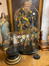 Charger l'image dans la galerie, Envolée de papillons Urania sous globe en verre (ENVOI IMPOSSIBLE)