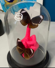 Charger l'image dans la galerie, « Fuck » aux insectes