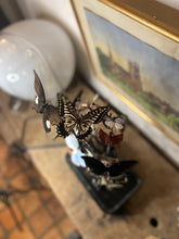 Charger l'image dans la galerie, Envolée de papillons sous globe napoléonien