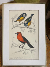 Charger l'image dans la galerie, Tirages encadrés vendus à l’unité