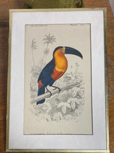 Charger l'image dans la galerie, Tirages encadrés vendus à l’unité