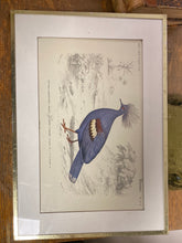 Charger l'image dans la galerie, Tirages encadrés vendus à l’unité