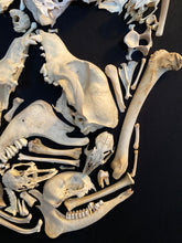Charger l'image dans la galerie, Cadre vanité « MEMENTO MORI »