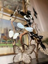Charger l'image dans la galerie, Envolée de papillons sous globe napoléonien