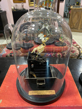 Charger l'image dans la galerie, « Le petit oiseau est sorti!!