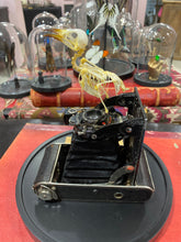 Charger l'image dans la galerie, « Le petit oiseau est sorti!!