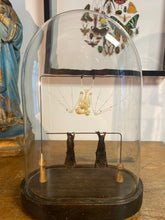 Charger l'image dans la galerie, Chauve-souris en squelette bicéphale et en duo sécher