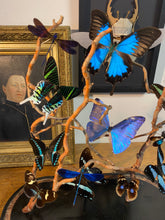 Charger l'image dans la galerie, Envolée de papillons et libellules dans les tons bleu sous globe Napoleon 3, ENVOI IMPOSSIBLE