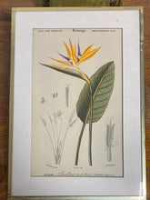 Charger l'image dans la galerie, Tirages encadrés vendus à l’unité