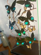 Charger l'image dans la galerie, Envolée de papillons sous vitrine