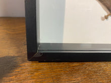 Charger l'image dans la galerie, Cadre chauve-souris