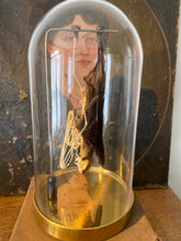 Charger l'image dans la galerie, Véritable chauve-souris mi squelette mi séché