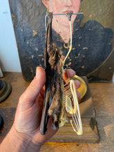 Charger l'image dans la galerie, Véritable chauve-souris mi squelette mi séché