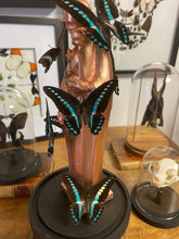 Charger l'image dans la galerie, Vierge aux papillons sous globe ENVOI IMPOSSIBLE