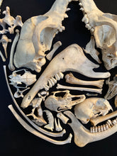 Charger l'image dans la galerie, Cadre vanité « MEMENTO MORI »
