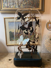 Charger l'image dans la galerie, Envolée de papillons sous globe napoléonien