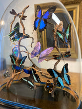 Charger l'image dans la galerie, Envolée de papillons et libellules dans les tons bleu sous globe Napoleon 3, ENVOI IMPOSSIBLE