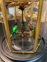 Charger l'image dans la galerie, Prisme hexagonal aux d’insectes