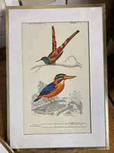 Charger l'image dans la galerie, Tirages encadrés vendus à l’unité