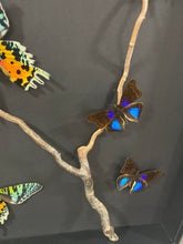 Charger l'image dans la galerie, Cadre envolées de papillons