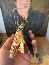 Charger l'image dans la galerie, Véritable chauve-souris mi squelette mi séché