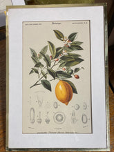 Charger l'image dans la galerie, Tirages encadrés vendus à l’unité